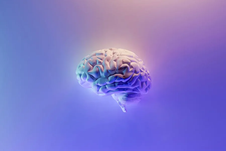 Neuromarketing Decoding Consumer Behaviour a Perth Branding Agency Perspective