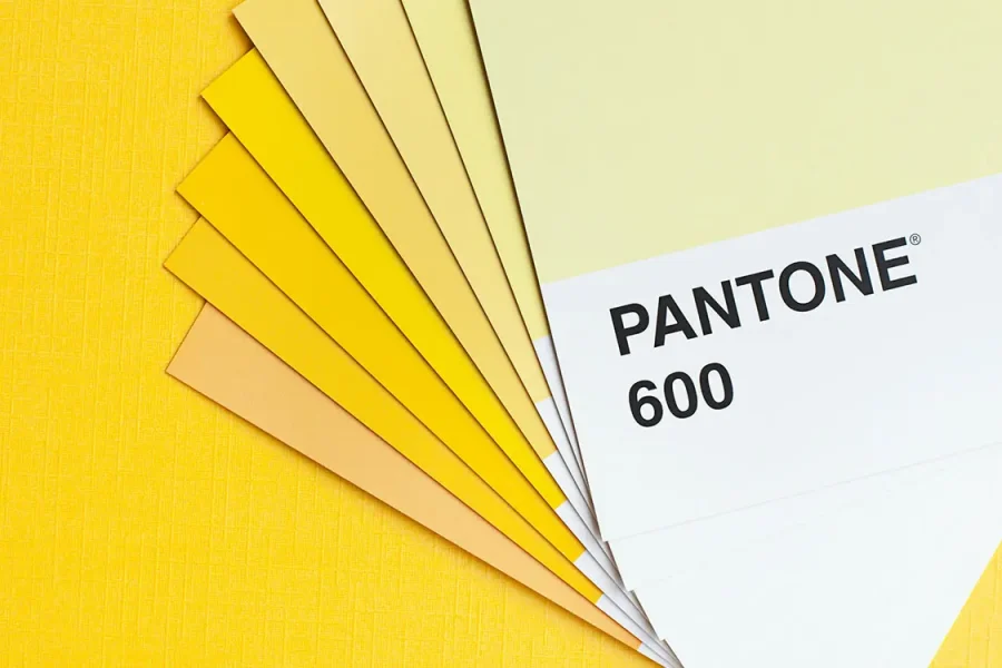 Professional Logo Designer Perth